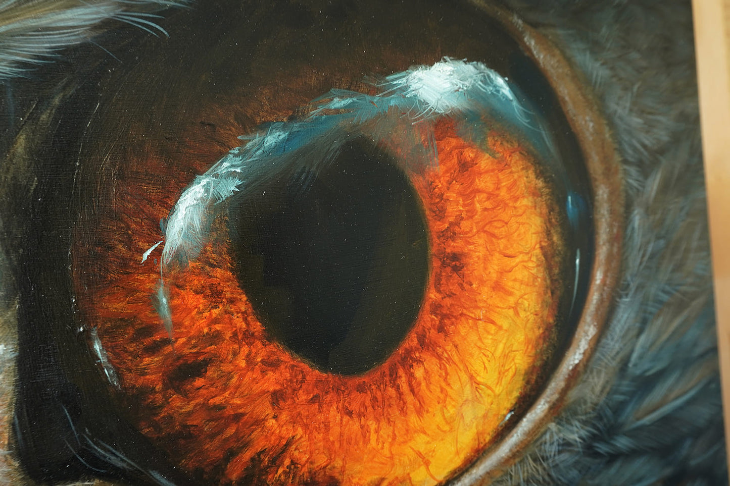 Golden Eagle Eye - Original Oil Painting