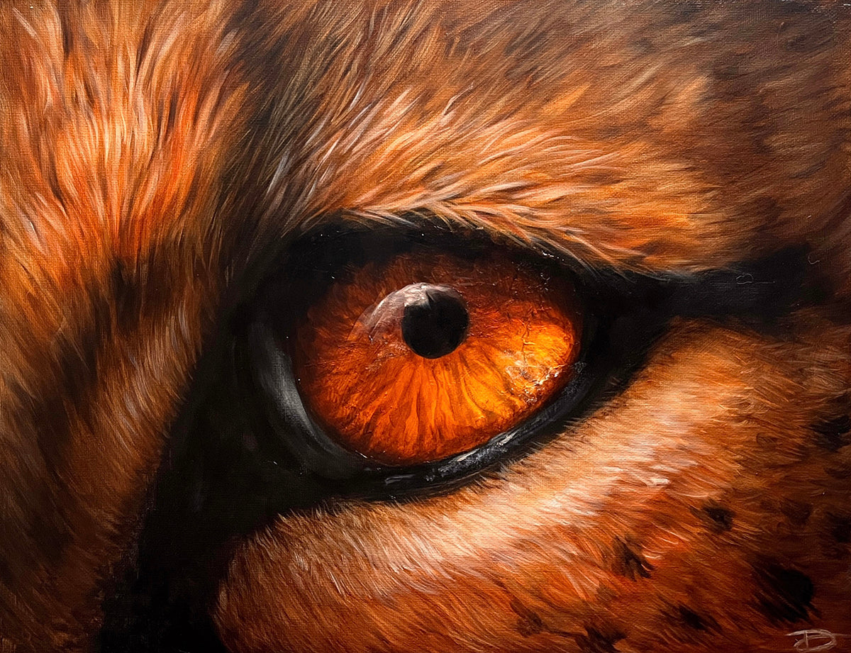 Cheetah Eye - Original Oil Painting - COMING SOON