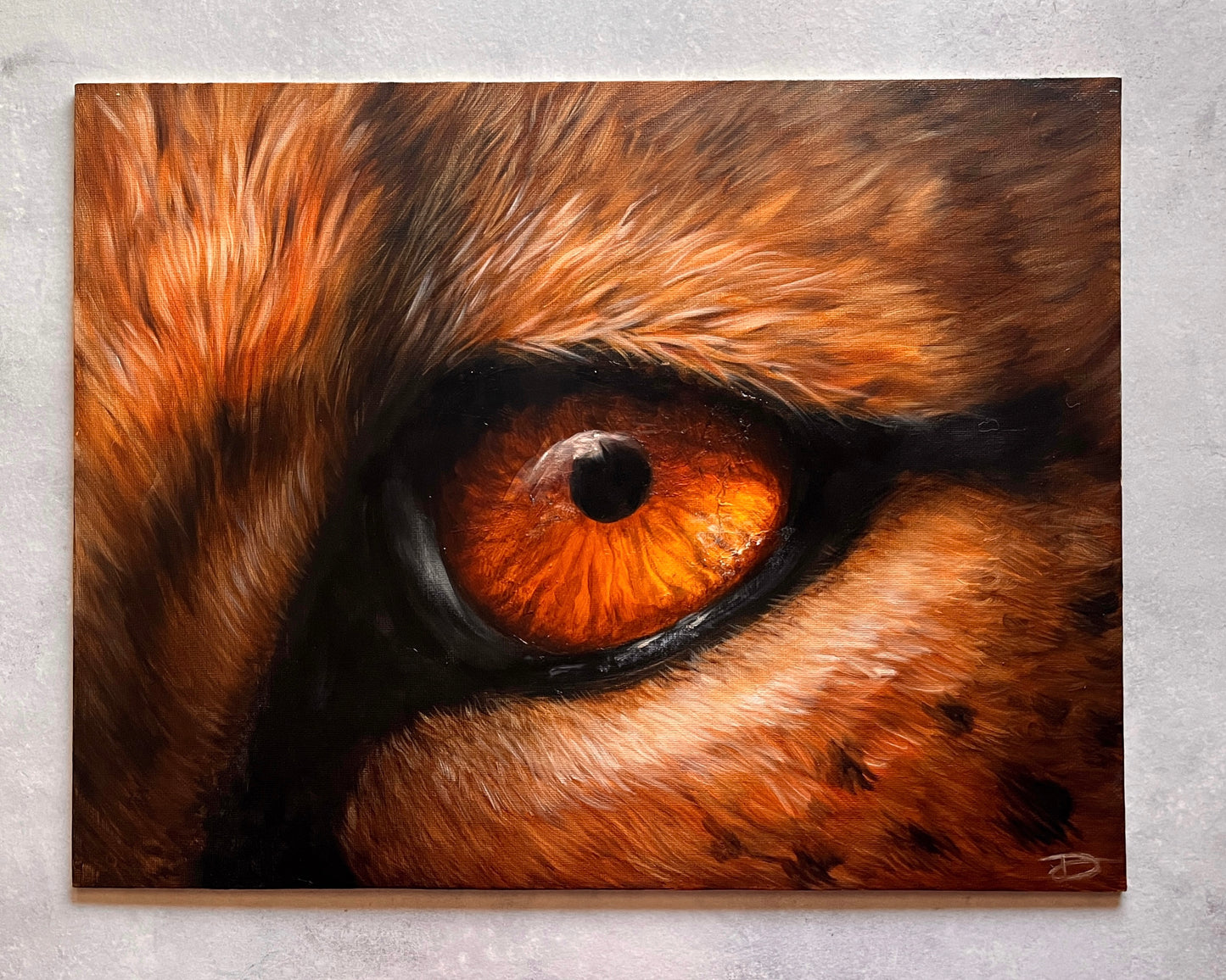 Cheetah Eye - Original Oil Painting - COMING SOON