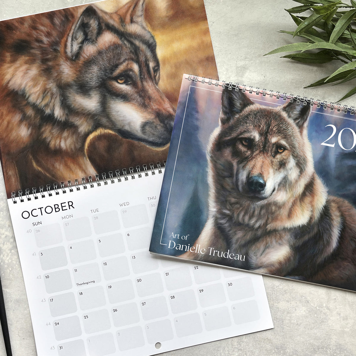 2027 Wildlife Art Calendar (UK, EU, NZ, AU & Asia)