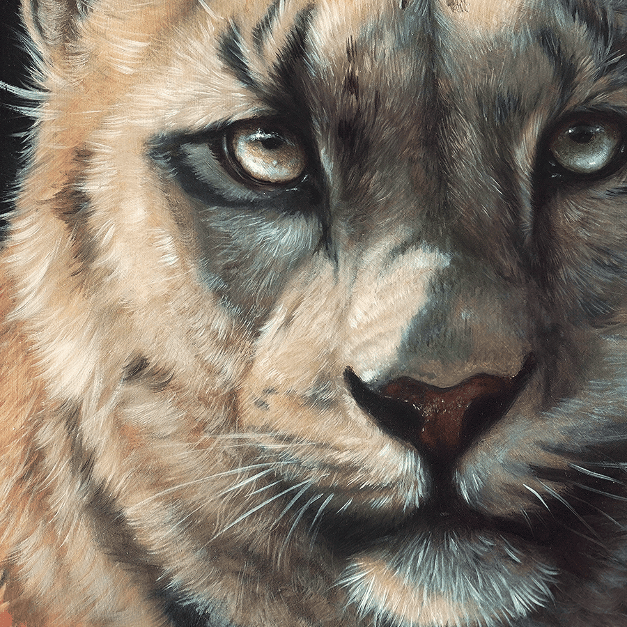 A Quiet Reckoning | Limited Edition Prints