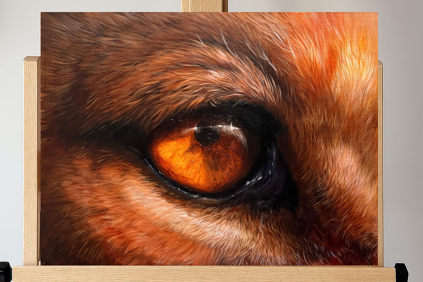 Lion Eye  - Original Oil Painting