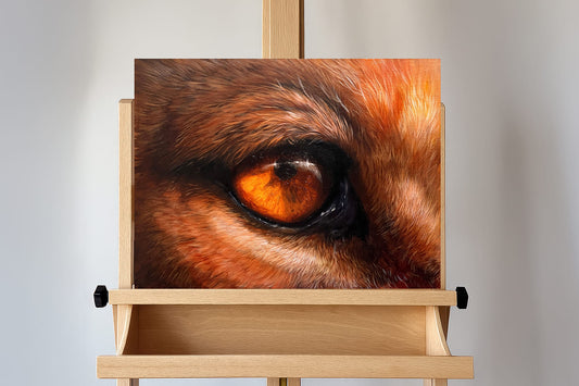 Lion Eye  - Original Oil Painting