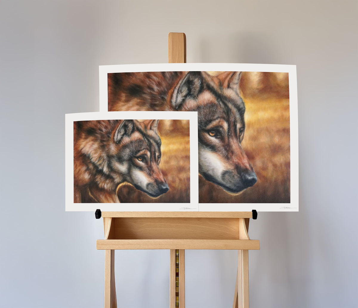 Protect & Provide | Prints