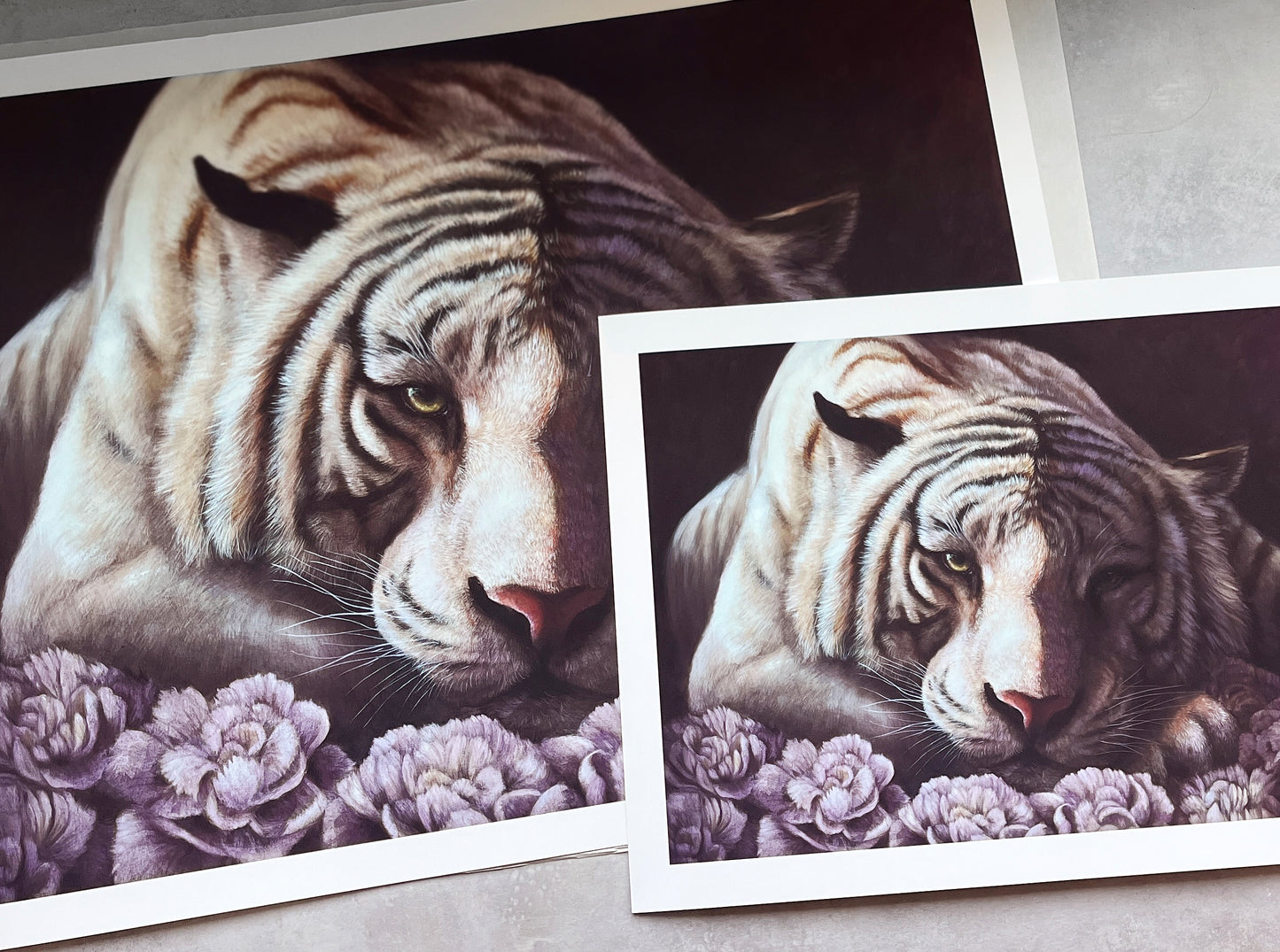 Where Light Meets Quiet | Limited Edition Prints