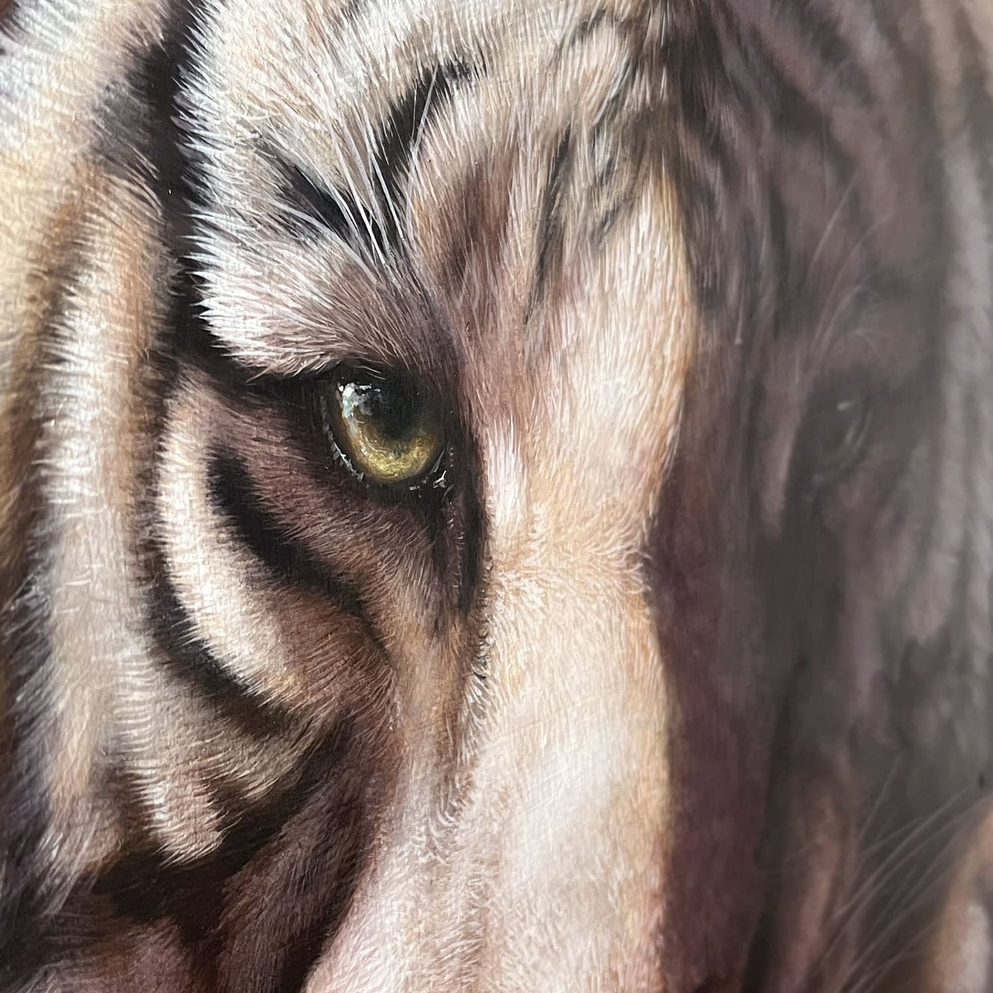 "Where Light Meets Quiet" - Original Oil Painting