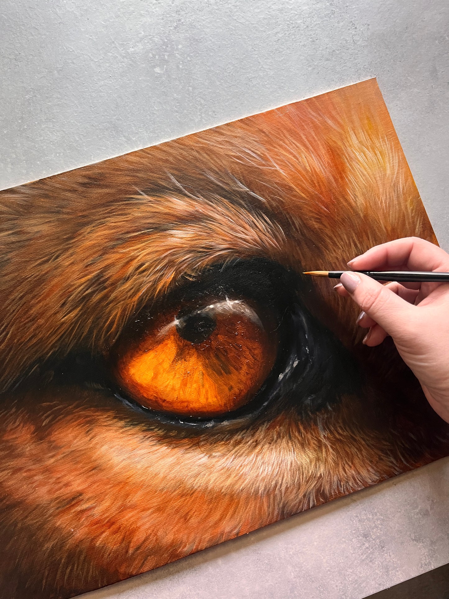 Lion Eye  - Original Oil Painting - COMING SOON