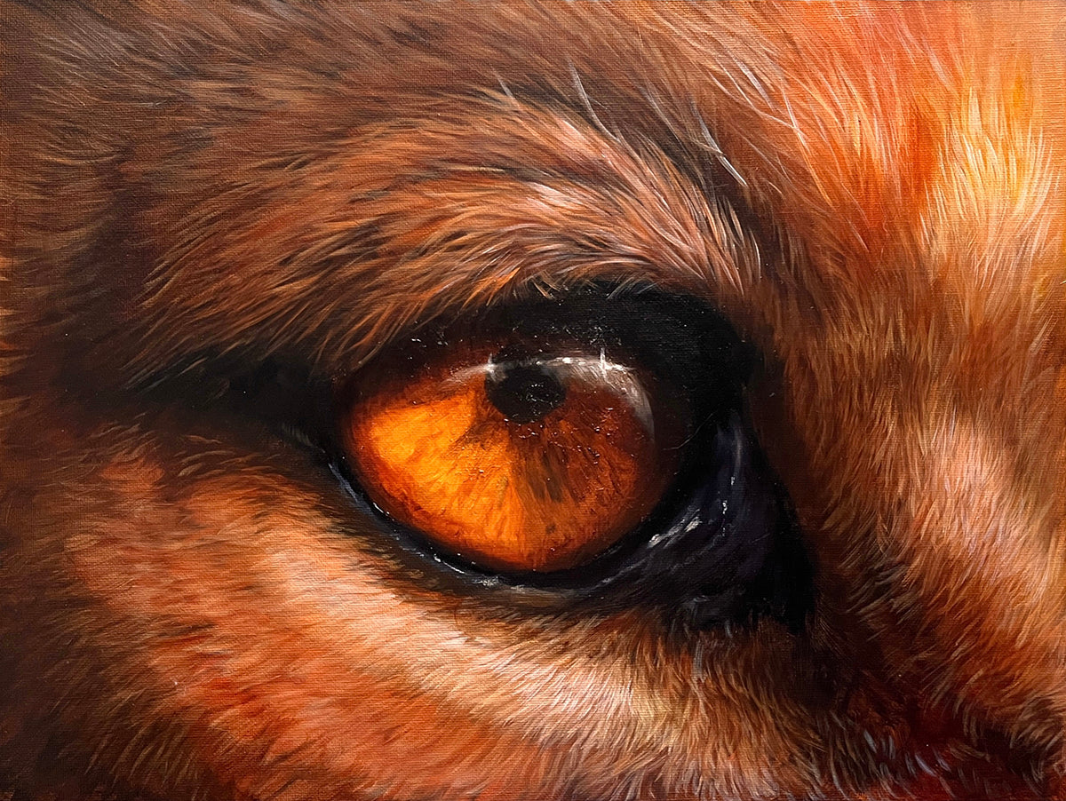 Lion Eye  - Original Oil Painting - COMING SOON