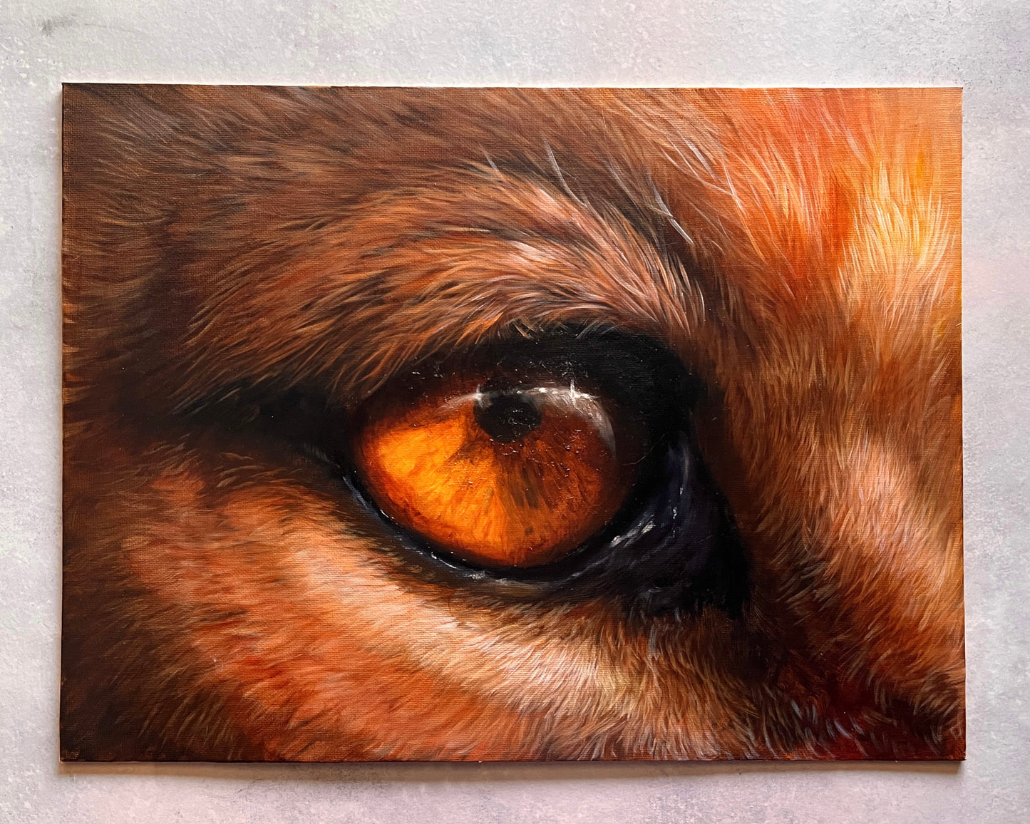 Lion Eye  - Original Oil Painting - COMING SOON